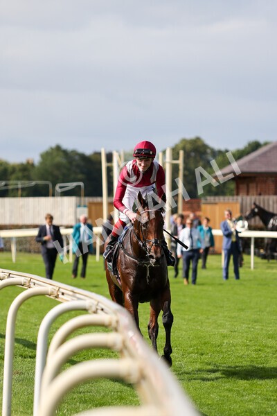 yr18082021r4-96 - Race 4 3.35pm Juddmonte International Stakes (British Champion Series race)