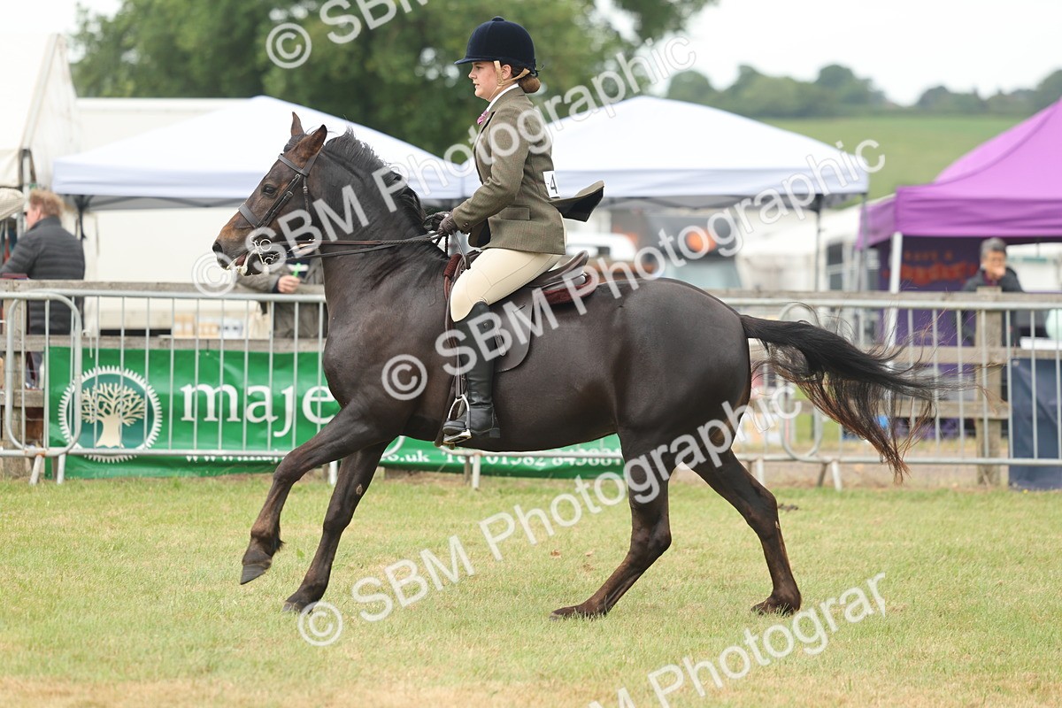 SBM_09085 - Class 78-80 - Ridden M&M Non Welsh Ponies