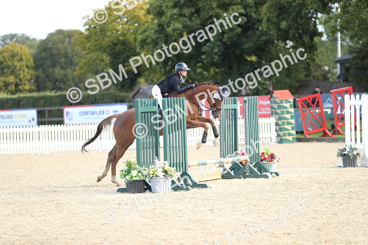 SBM_37300 - J20 - Junior Horse 50cm Championship