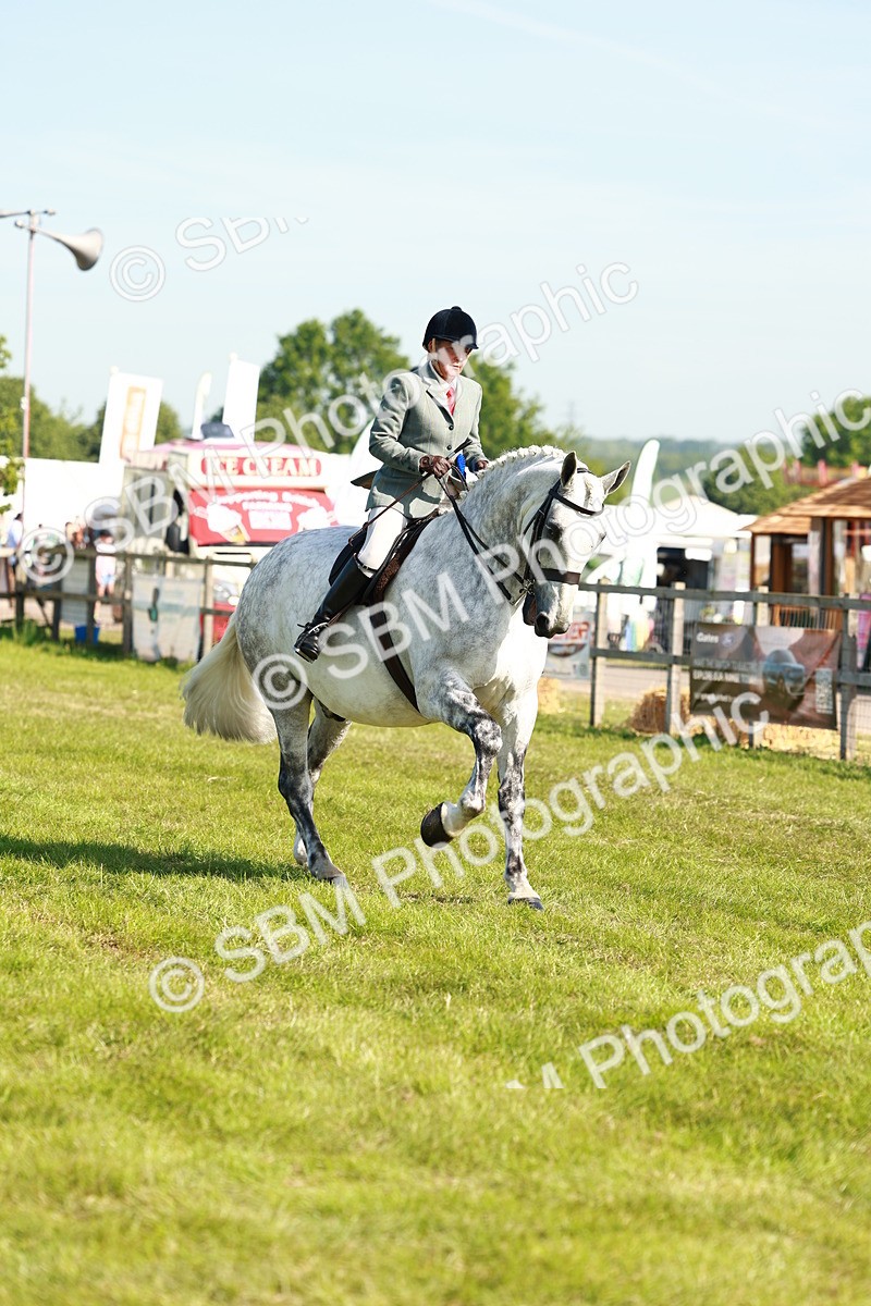 SBM_11862 - Class 66-69 - RIHS Ridden Hunters Inc Small Hunter
