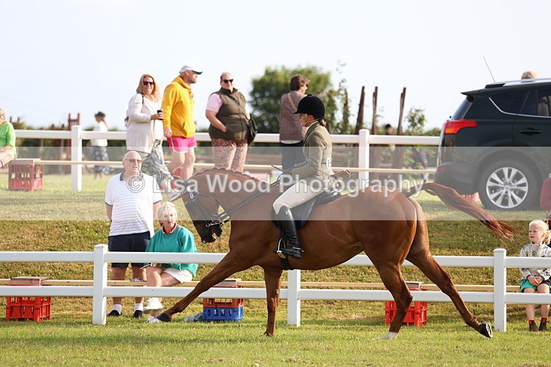 3E7A7762 - Class 1: Rising Star Small Hack/Riding Horses