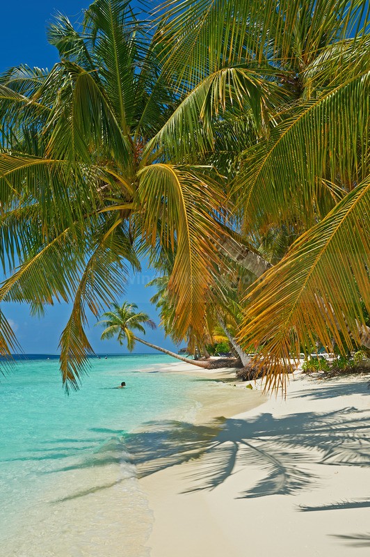 0124_84 - Maldives