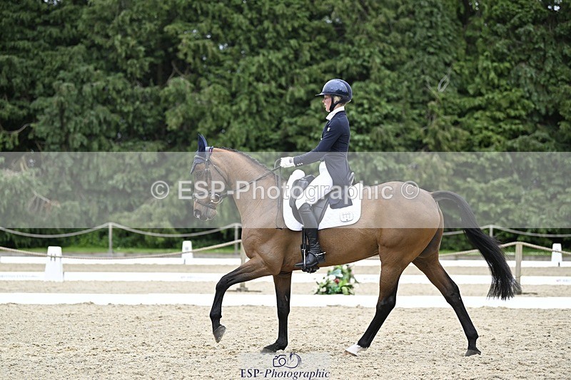 240523-145234-05127 - 442-FERNHILL_ZORO-Cassie_Sanger