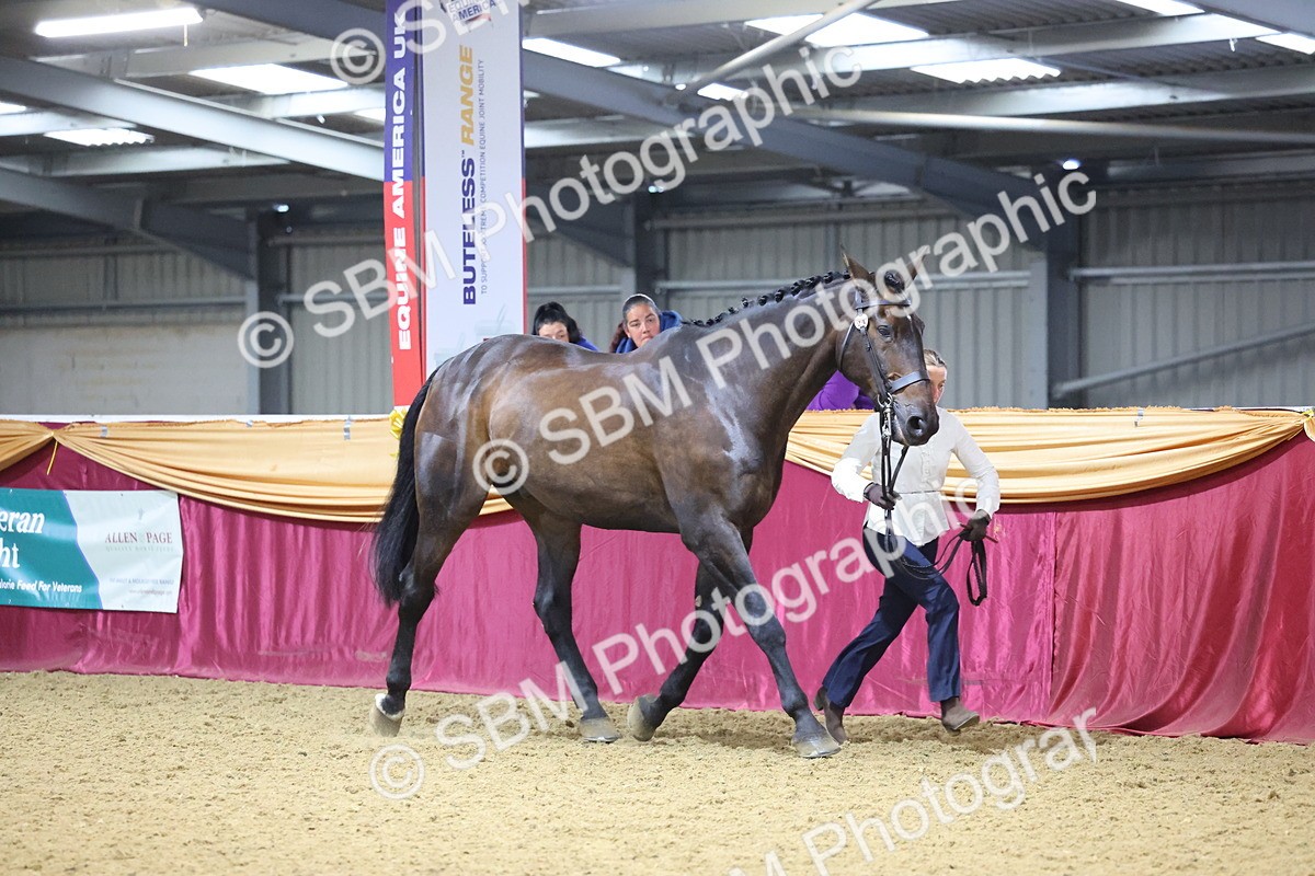 SBM_20771 - Class 902 - Supreme Final IH Veteran