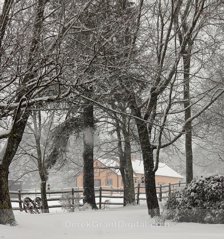 Winterscape