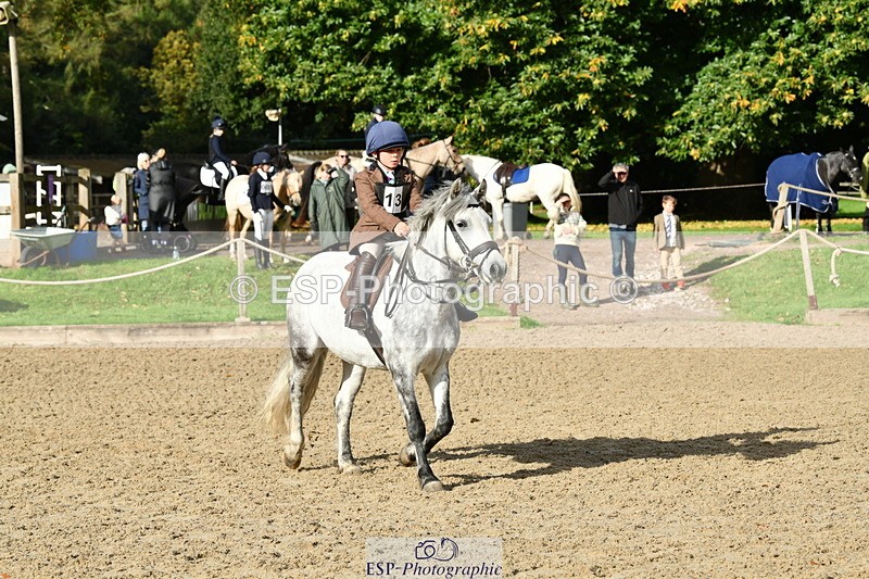 251004A-102127-00417 - Classes 1-2-3 40cm