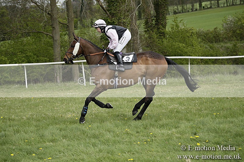 PtP 170417 129 - Old Berks Point-to-Point Lockinge 17/04/17