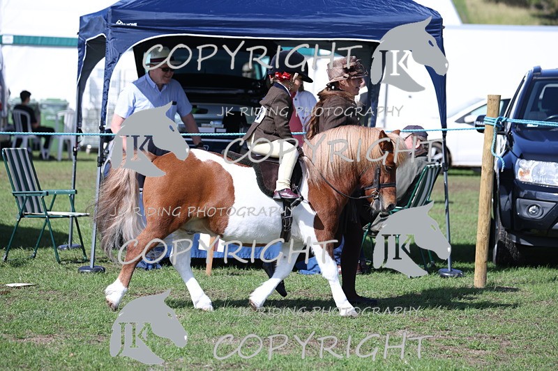 APP_3814 - Class 13 Lead rein