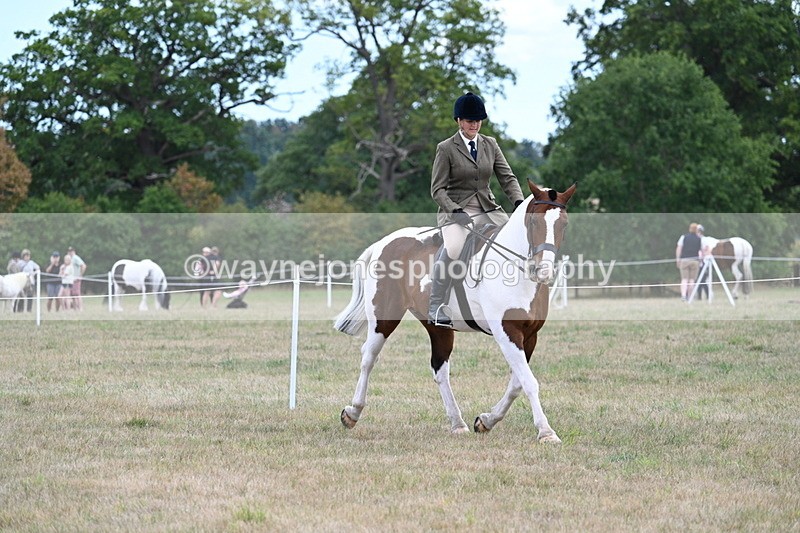 WJ7_5177 - Class 12 Ridden Cob
