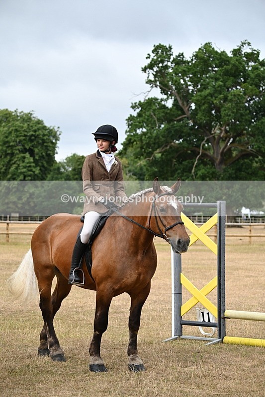 WJ6_7601 - Class 9 Tack and Turnout