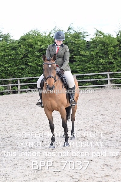 BPP_7037 - RING 1  (RIDDEN HORSES / IN HAND / VETERAN ETC)