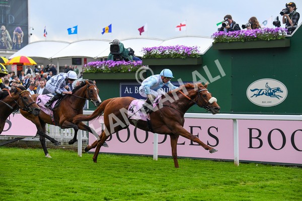 190523-Race 4-Giavellotto-0601 - Race 4 3.35pm Boodles Yorkshire Cup Stakes