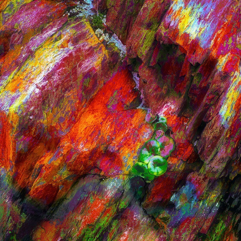 Rare Earth 1 Abstract - Abstracts