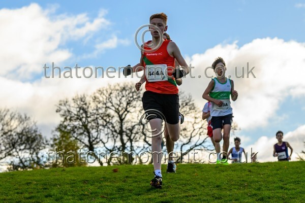 NatRel25-914129 - Young Male Set One