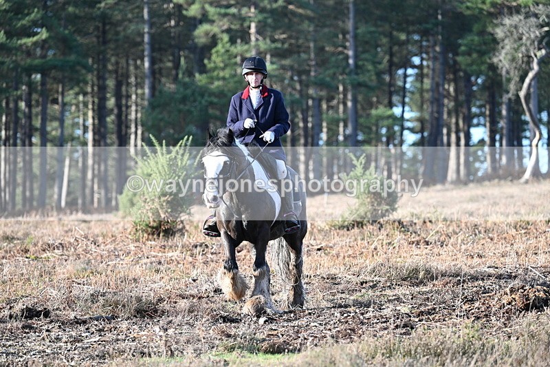 WJ7_7293 - Line 3 (no line 4 or 5)