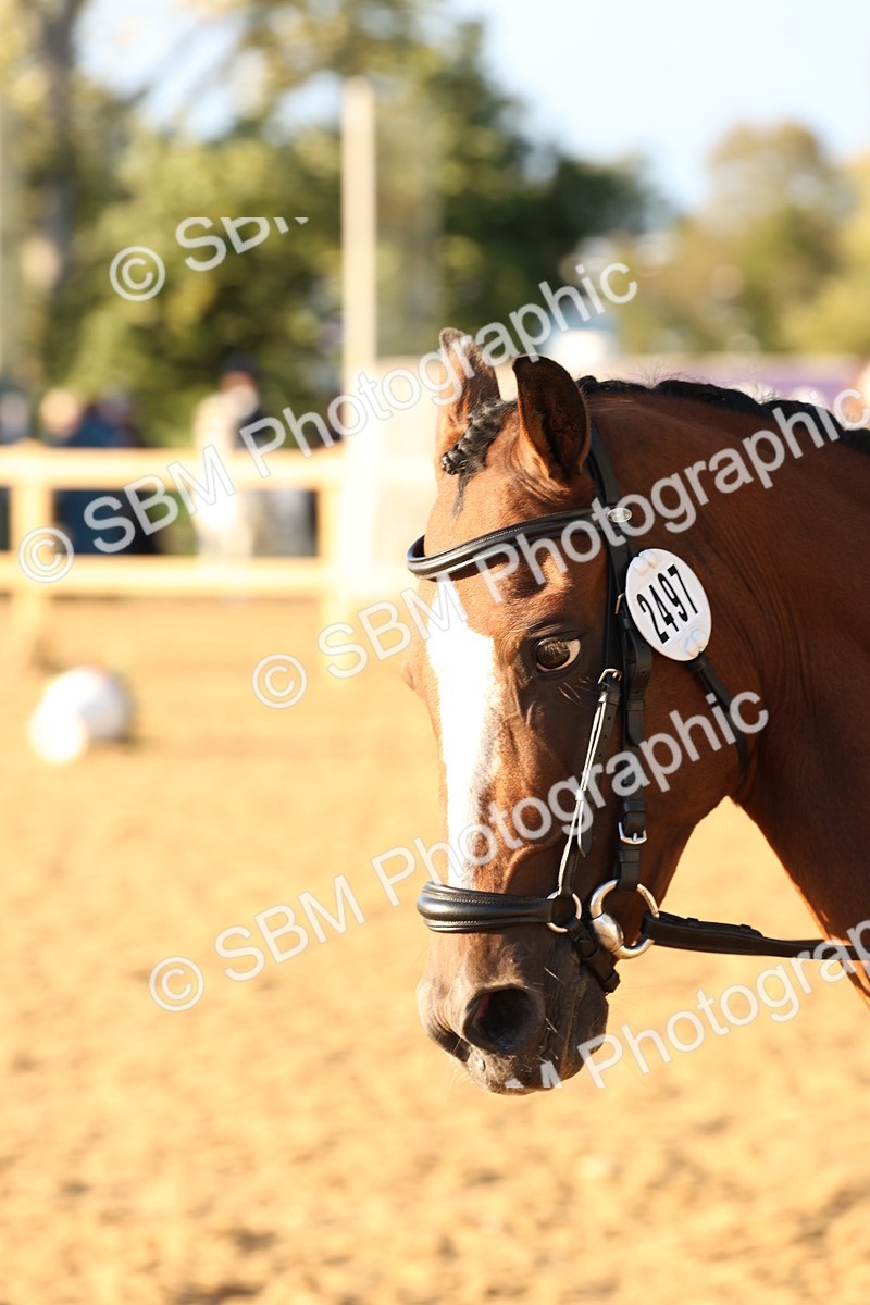 SBM_12780 - D9 - Small Tour Championship Prelim 3