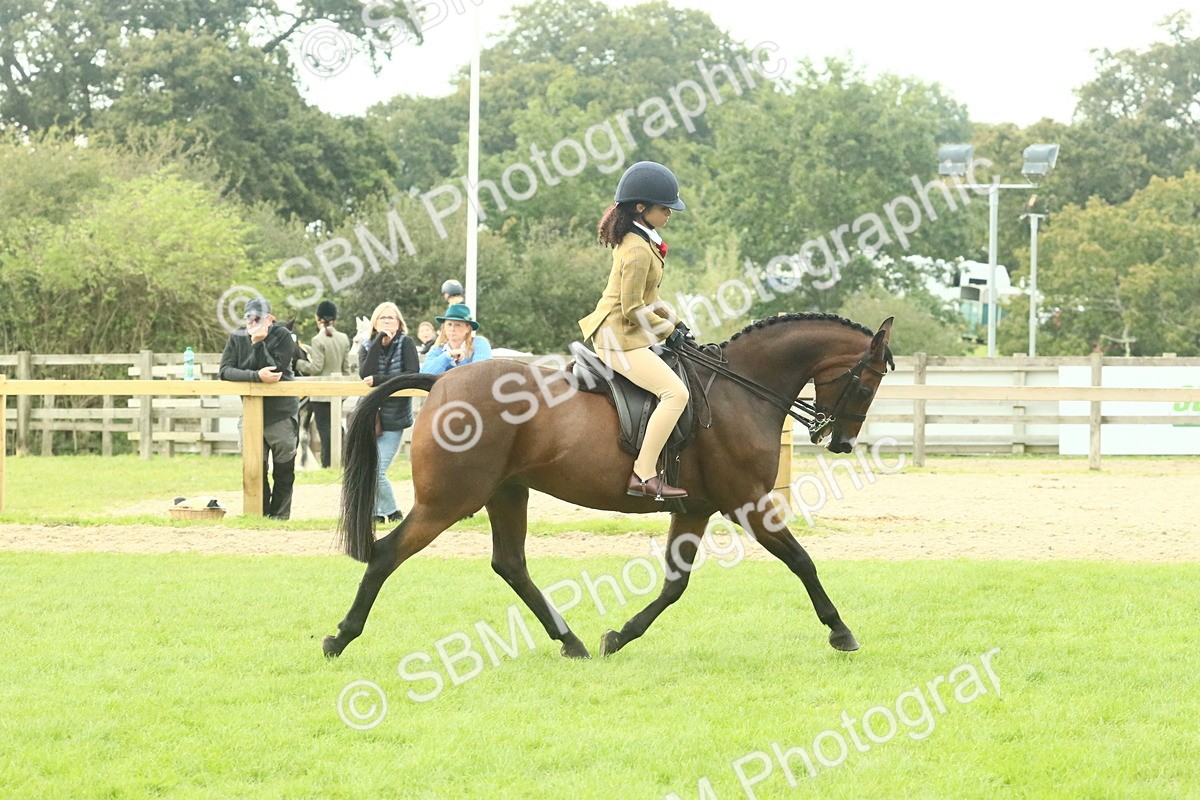 SBM_74089 - S 61 - Show Pony & Show Hunter Pony Ridden
