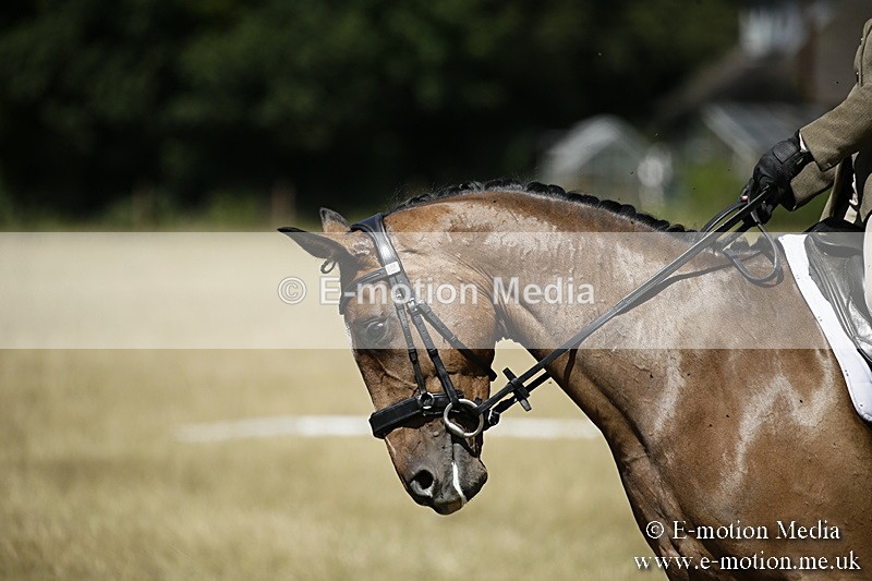 LP220718-7 - Roving Camera BVRC Show 2018