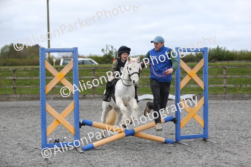 20260412-0196 - Show Jumping