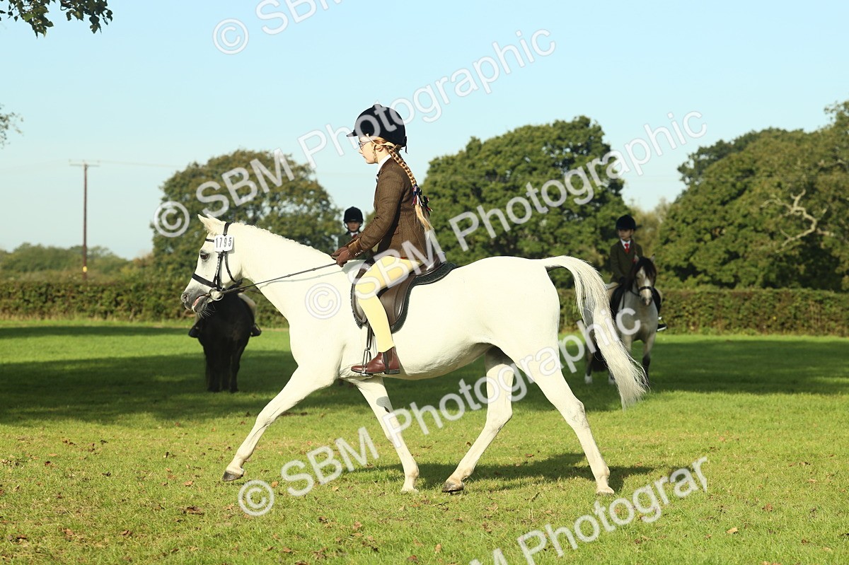 SBM_59206 - S38 - Starters Ridden Showing