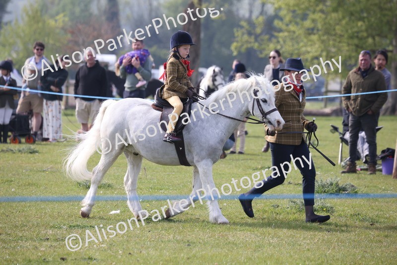 20260426-0330 - Class 30 - Tiny Tots Lead Rein