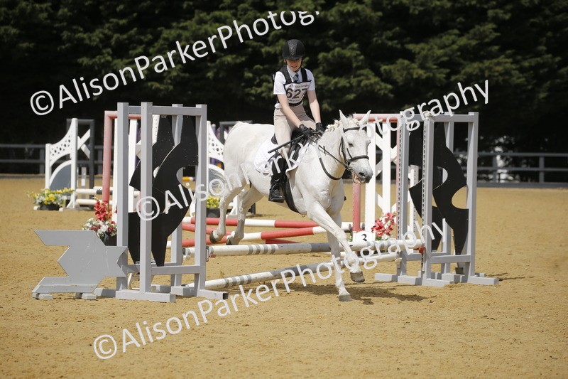 20250622-3914 - 50cm