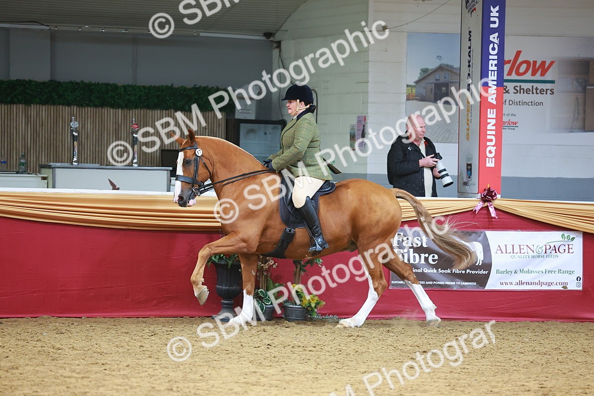 SBM_06115 - Class 12R - Ridden Pre-Vet