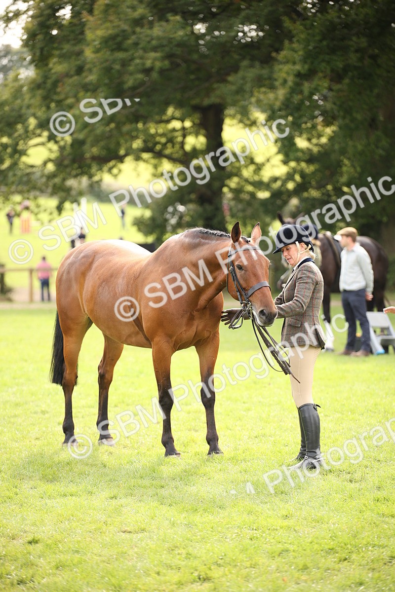 SBM_70423 - S66 - Hunter Ridden