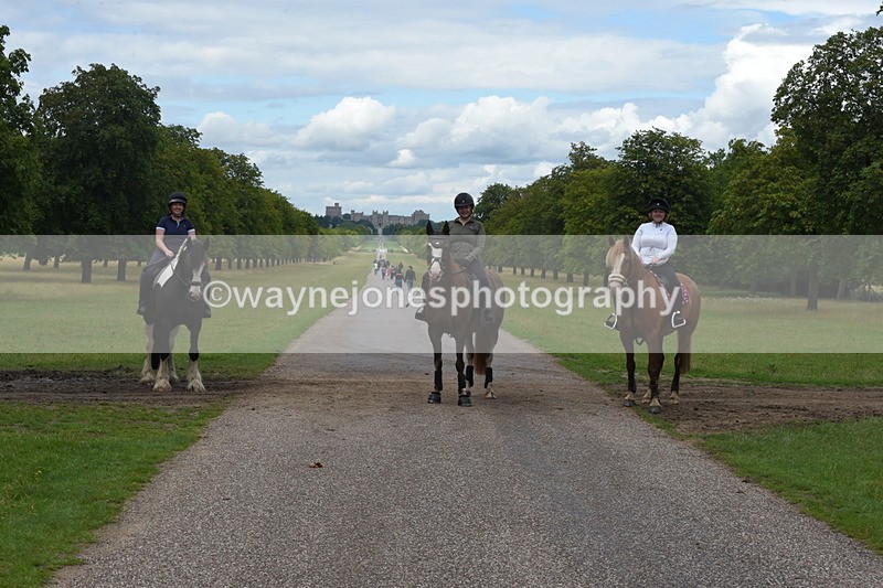 TT3_0391 - Time at Crossing 14:53 to 1526