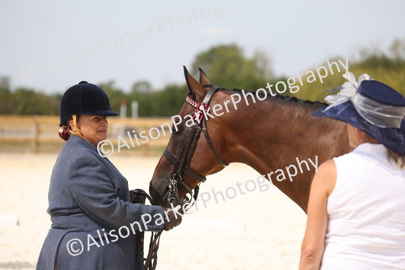 20260802-1526 - Class 16 - Best Horse or Pony