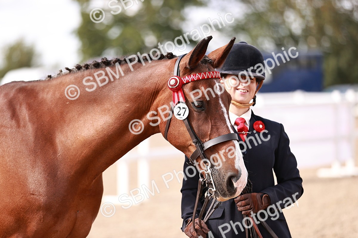 SBM_14199 - Class 407 - IH Hack Riding Horse