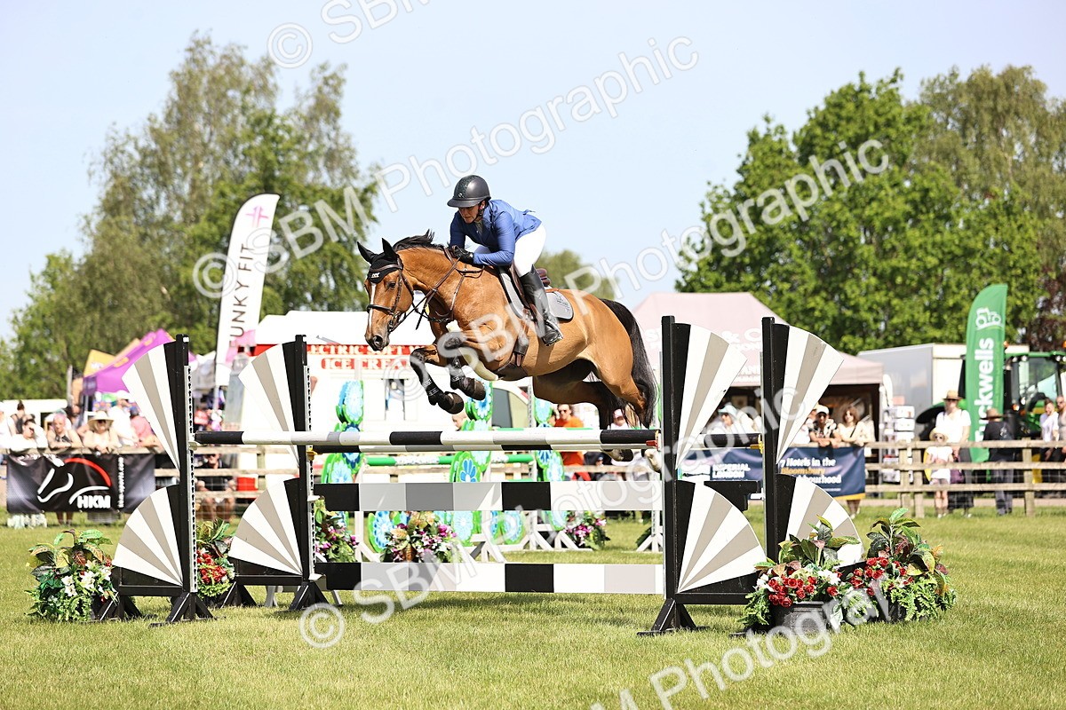 SBM_03041 - Class 201 - British Horse Feedds Speedi Beet HOYS Grade C
