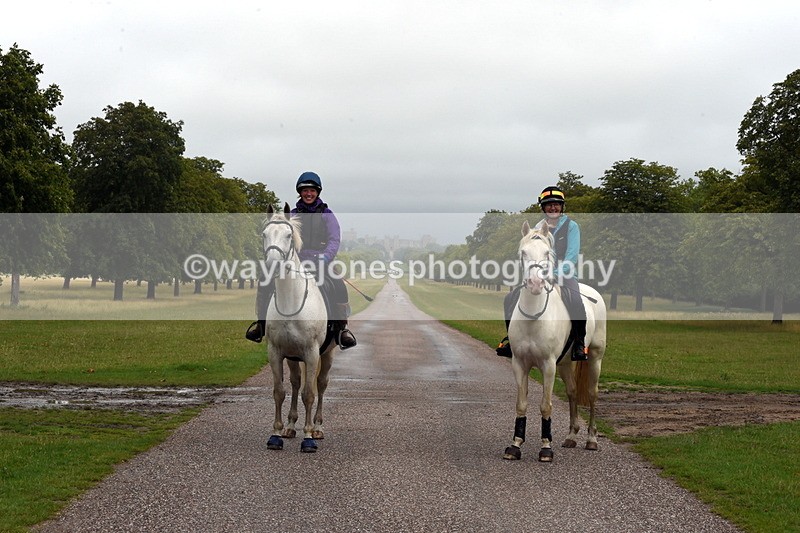 TT3_8309 - Time at Crossing 10:16 to 11:38