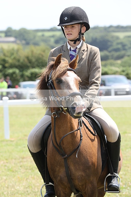 JPP_1856 - Class 18: Tiny Tots Working Hunter Pony