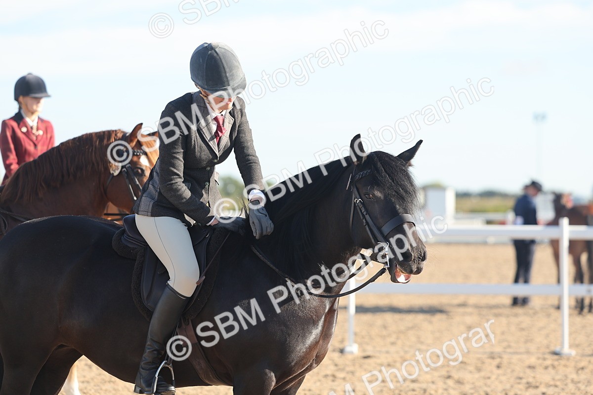 SBM_11044 - Class 302 - Ridden M&M Large Breeds