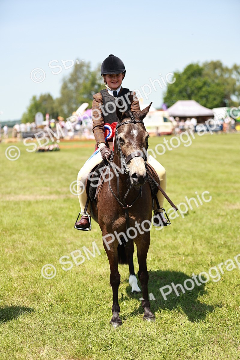 SBM_15815 - Class 108-109 - BSPS LIHS Open Gradle & Nursery Stakes