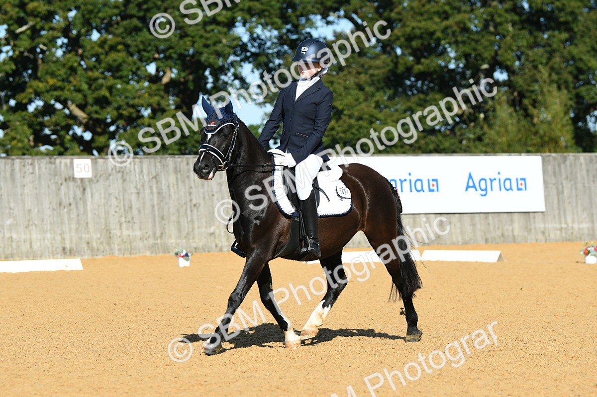 SBM_16304 - D4 - Small Tour Championship - Intro B