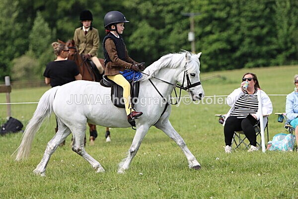 IMG_2428 - Working Hunter