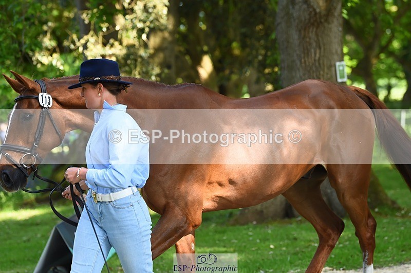 230524-164510-01068 - 113-I'M_A_WONDER-Rosie_Fry-WEDTrotUp+DR