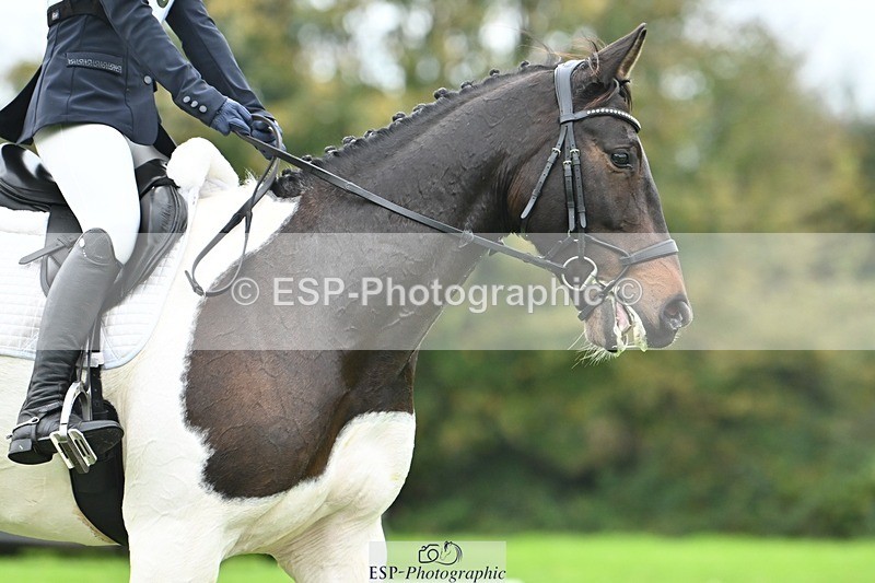 241024-104151-02254 - 307-Ava.Moor-LANGALLER.SUNRISE