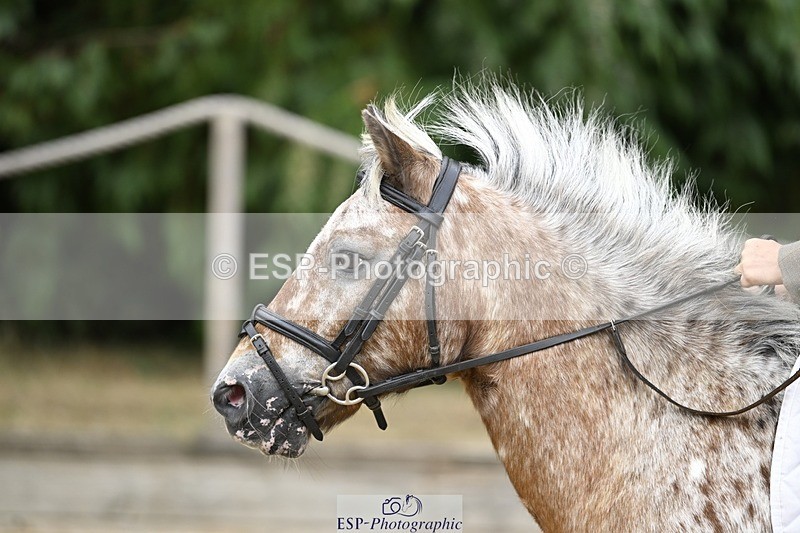 250820A-124821-06670 - Round 1, Start to 1.30pm Break