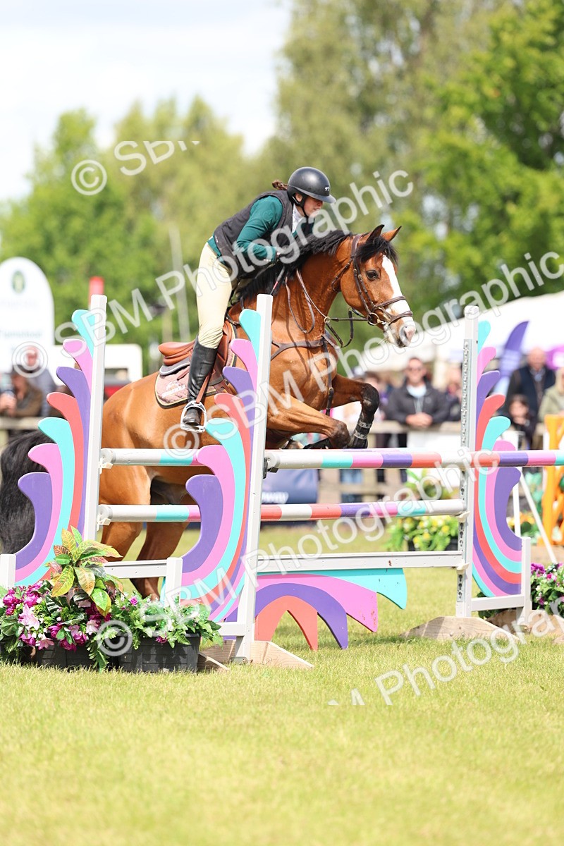 SBM_13834 - Class 206 - Senior Newcomers - 1.10m Open