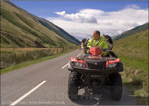 Constant Companions - Farming/Agriculture