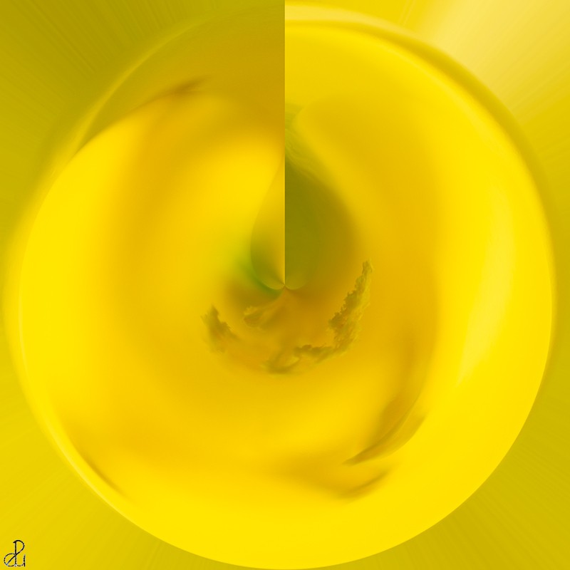 Abstract photography by Diana Uzun