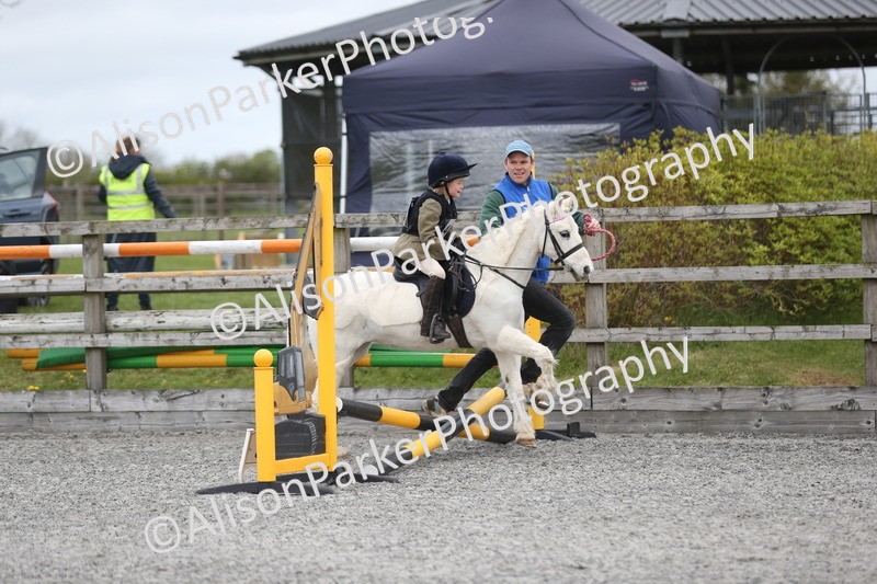 20260412-0195 - Show Jumping