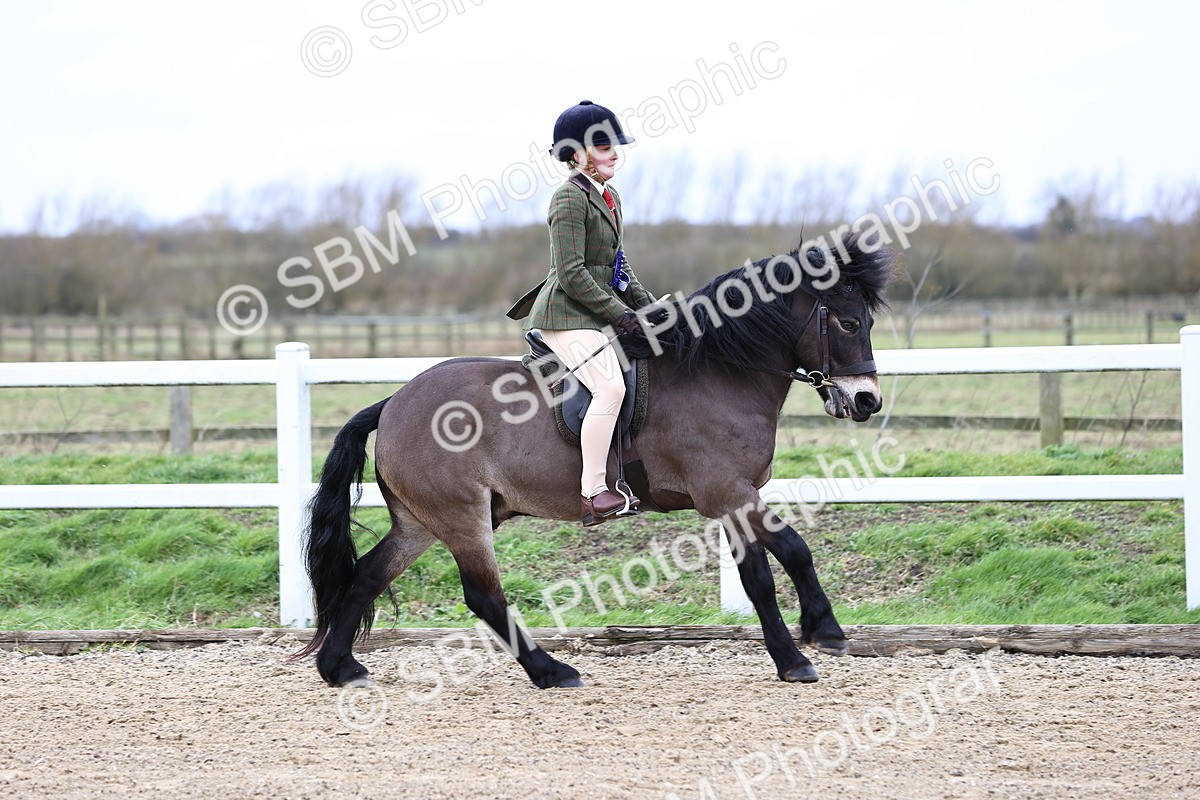 SBM_006874 - Class 29 - 30 - M&M Pure Novice Small-Large Breeds