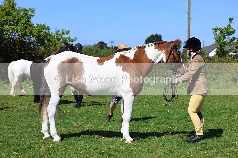 3E7A9905 - Class 17: Young Handler
