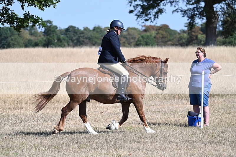 WJ7_3863 - Class 9 Mountain & Moorland Ridden