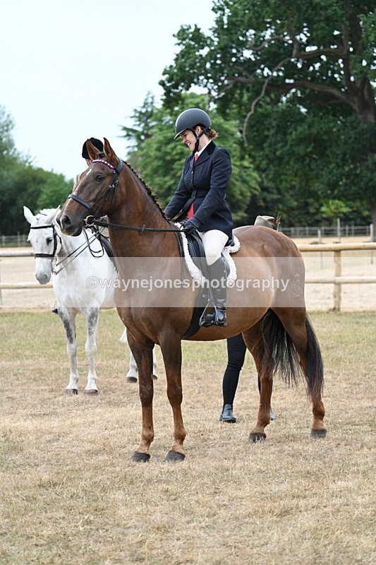 WJ7_0809 - Class 7 Riding Club Show Horse