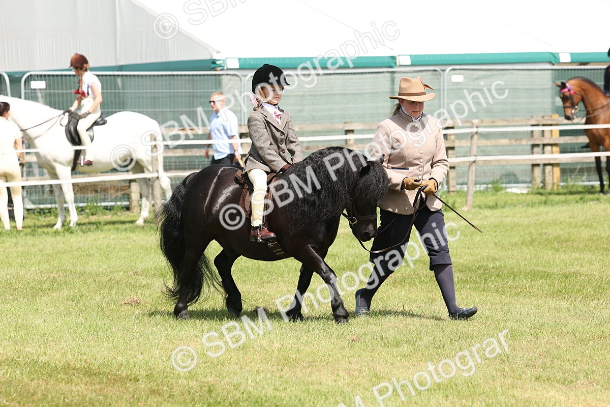 SBM_05257 - Class 24-25 - Mountain & Moorland In Hand Lead Rein and First Ridden